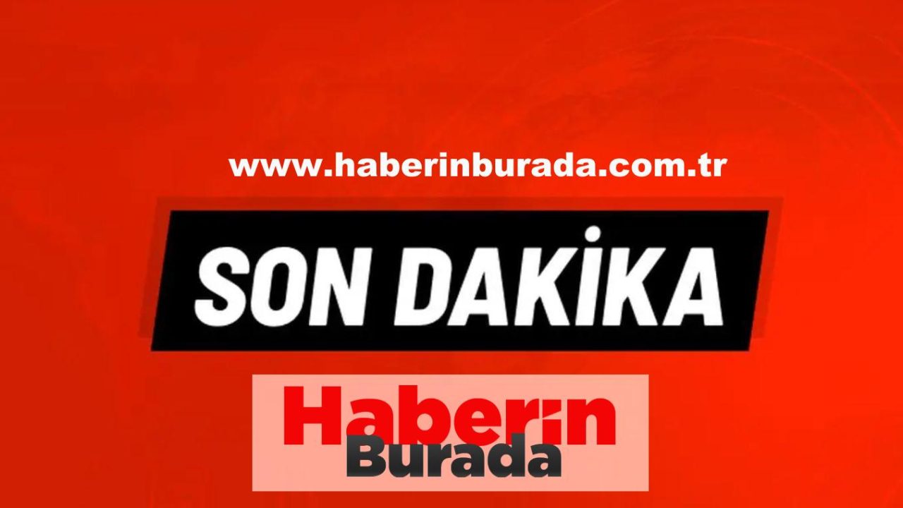 Kuma Dizisi Oyuncuları - haberinburada.com.tr